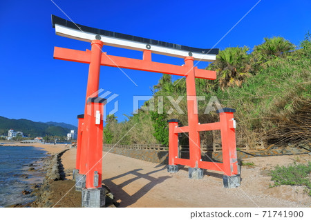 [Miyazaki Prefecture] Aoshima Shrine Otorii under clear skies 71741900