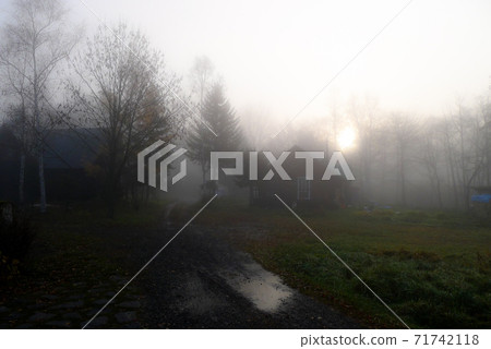 Seasonal news from the foot of the atelier. In the late autumn morning, the area suddenly became fantastic. Seasonal news from the foot of the atelier. In the late autumn morning, the area suddenly became fantastic. 71742118