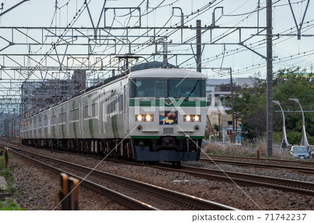 185 series dancer 71742237