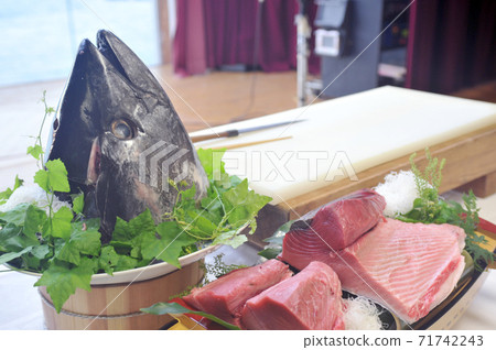 金槍魚頭和魚片 金槍魚頭和魚片 71742243