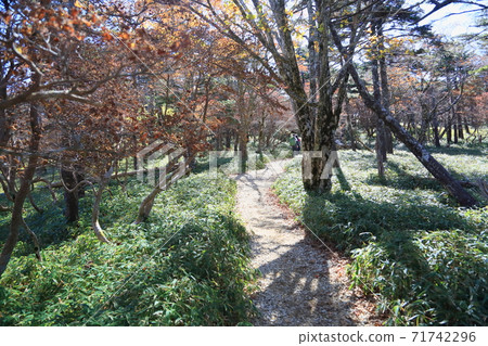 Refreshing hiking 71742296