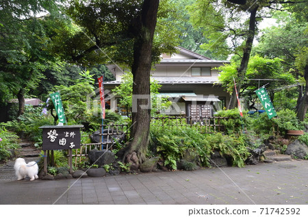 上野公園的櫻花/上野兒童遊樂園 上野公園的櫻花/上野兒童遊樂園 71742592