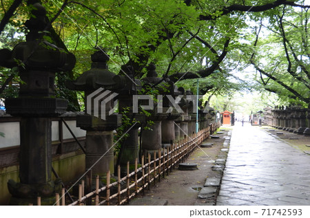上野公園的櫻花/上野兒童遊樂園 上野公園的櫻花/上野兒童遊樂園 71742593