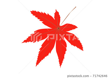 秋天的樹葉圖像 秋天的樹葉圖像 71742646