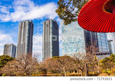 （東京）盛開梅花的濱立里花園 71743631
