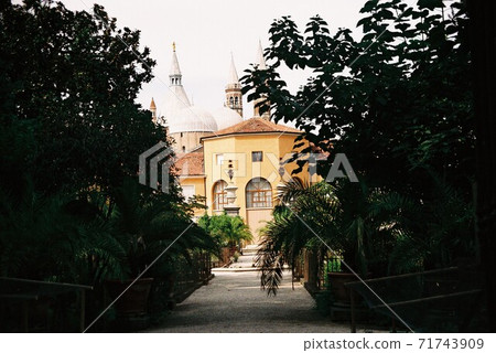 Padua Padua 71743909