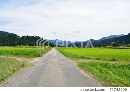 從忠武線忠武站到會津川口站的各站及其周邊的風景 71743996