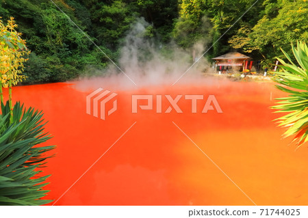 [Oita Prefecture] Beppu Hell Tour (Blood Pond Hell) 71744025