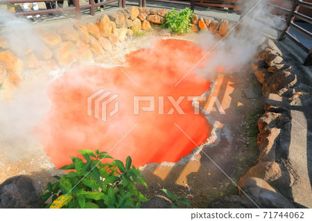 [Oita Prefecture] Kamado Jigoku (Beppu Jigoku Tour) 71744062