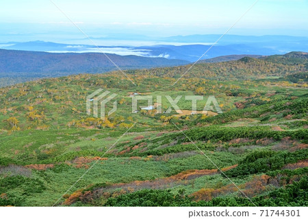 Collaboration scene of sea of clouds and autumn leaves seen from the promenade @ Daisetsuzan Asahidake, Hokkaido Collaboration scene of sea of clouds and autumn leaves seen from the promenade @ Daisetsuzan Asahidake, Hokkaido 71744301