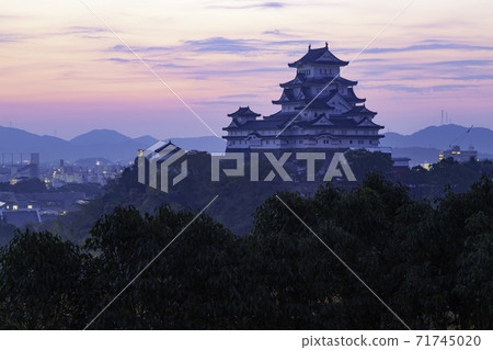 Himeji Castle at Dawn at Otokoyama Reservoir Park, Himeji City, Hyogo Prefecture 71745020