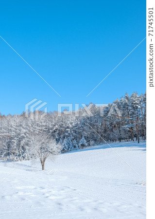 冬季中山高原(長野縣大町市) 冬季中山高原(長野縣大町市) 71745501