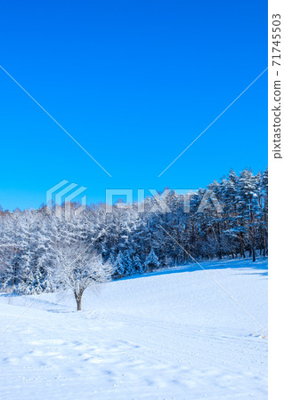 冬季中山高原(長野縣大町市) 冬季中山高原(長野縣大町市) 71745503