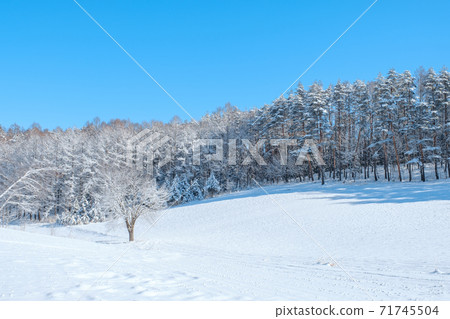 冬季中山高原(長野縣大町市) 冬季中山高原(長野縣大町市) 71745504