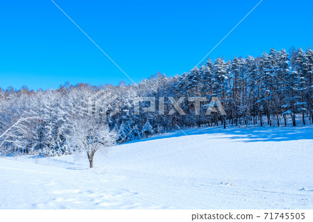 冬季中山高原(長野縣大町市) 冬季中山高原(長野縣大町市) 71745505