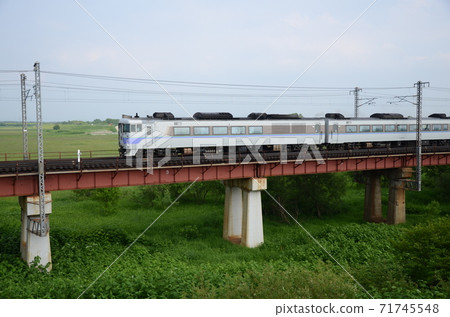 Limited express "Okhotsk" heading to Abashiri with the rare car Kiha 183-104 at the head Limited express "Okhotsk" heading to Abashiri with the rare car Kiha 183-104 at the head 71745548