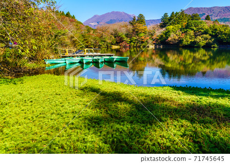 Autumn leaves of Hakuun no Ike [Unzen City, Nagasaki Prefecture] 71745645