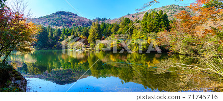 Autumn leaves panorama of Hakuun no Ike [Unzen City, Nagasaki Prefecture] 71745716