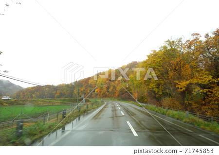 Wet road surface in autumn (Hokkaido) Wet road surface in autumn (Hokkaido) 71745853