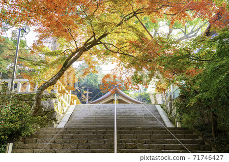 Popular spot in Dazaifu City, Fukuoka Prefecture Autumn Kamado Shrine 71746427