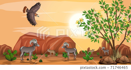 Wild desert landscape at daytime scene 71746465