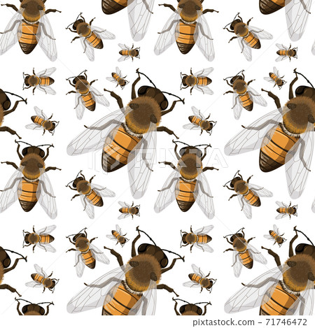 Bee insect seamless background 71746472
