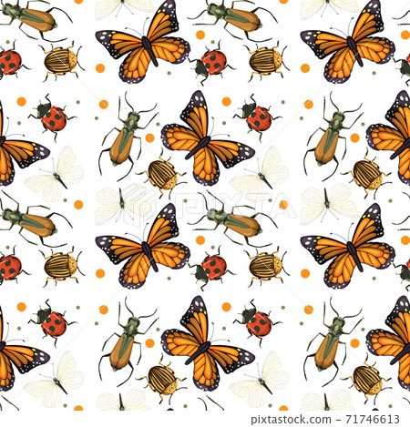 Different insects seamless pattern white background Different insects seamless pattern white background 71746613