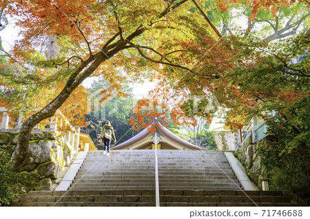 Popular spot in Dazaifu City, Fukuoka Prefecture Autumn Kamado Shrine 71746688