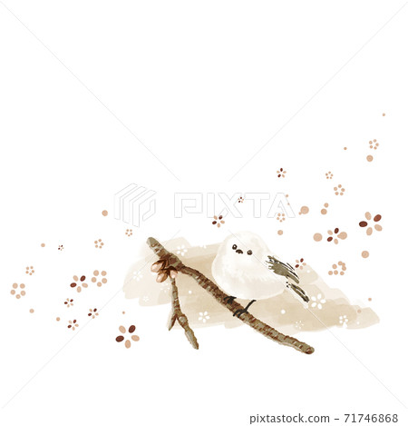 島永（花雪） 71746868