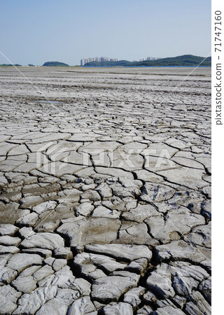 The cracked ground 71747160