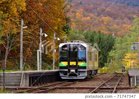 H100 series ordinary train stopped at Ginzan Station, which turns red 71747347
