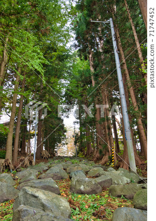 青森縣八戶市chojayama音子坂 青森縣八戶市chojayama音子坂 71747452