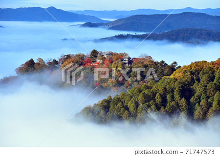 山城在天空6774 山城在天空6774 71747573