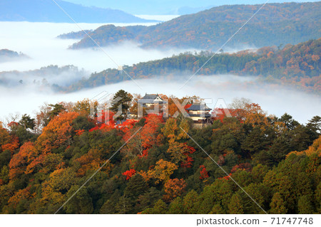 天空中的山城4521 天空中的山城4521 71747748