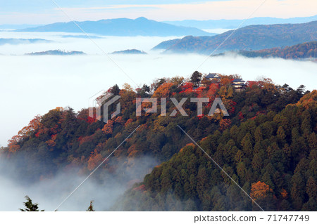 天空中的山城4524 71747749