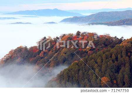 天空中的山城4527 71747750