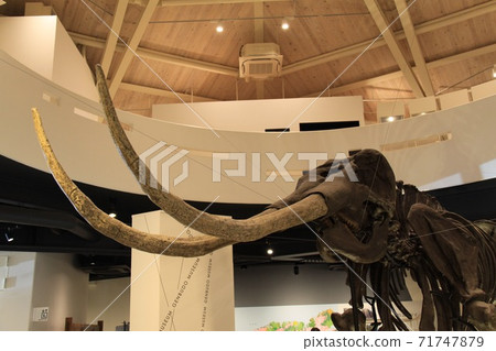 Genbudo Museum Genbudo Museum 71747879