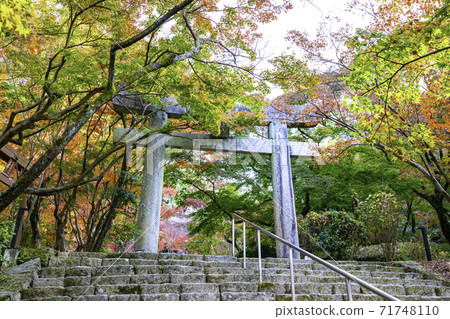Popular spot in Dazaifu City, Fukuoka Prefecture Autumn Kamado Shrine Popular spot in Dazaifu City, Fukuoka Prefecture Autumn Kamado Shrine 71748110