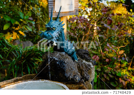 Kamakura Kuzuhara Oka Shrine Chozuya Dragon 71748429