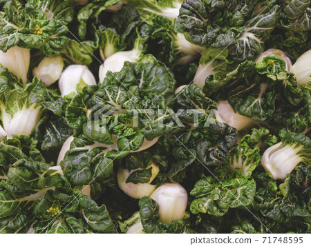 Bok choy Fresh Green vegetable Asian cooking Bok choy Fresh Green vegetable Asian cooking 71748595