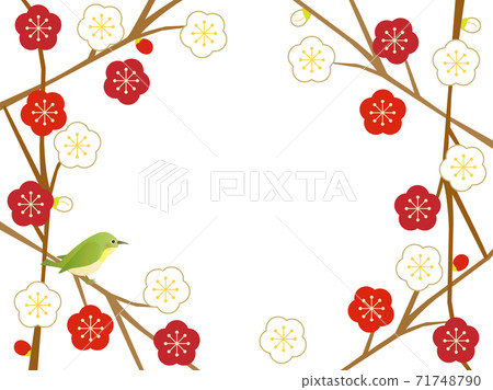 Plum 76 Plum and bird Plum 76 Plum and bird 71748790