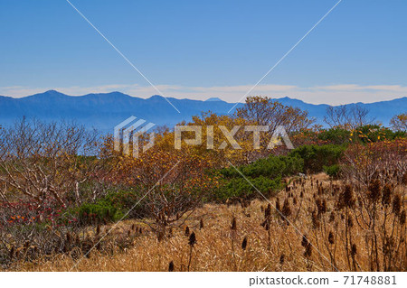 在長野縣駒谷市,秋天的Senjojiki Karl的肯蓋池附近東南側(富士山,南阿爾卑斯山)的景色 在長野縣駒谷市,秋天的Senjojiki Karl的肯蓋池附近東南側(富士山,南阿爾卑斯山)的景色 71748881