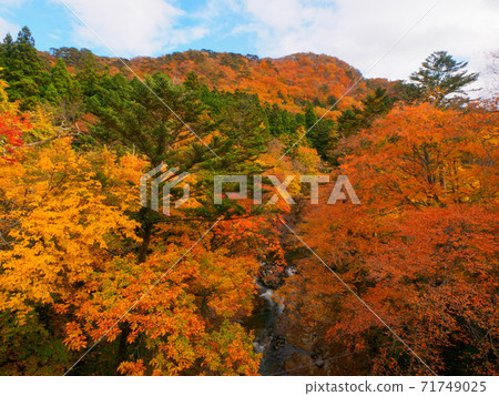 秋葉之山和鐮川((木縣那須鹽原市) 秋葉之山和鐮川((木縣那須鹽原市) 71749025