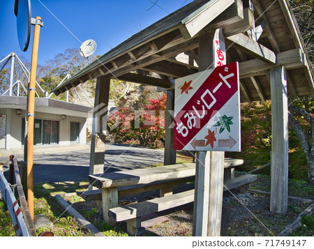 Tomitsu Momiji Road的秋葉開始 71749147