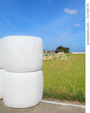 日本農業飼料大米運輸形勢，促進作物變化，反減量政策形象，物質背景 71749379