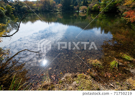 Autumn leaves Nagasaki Unzen Onsen's white cloud pond and fish 71750219
