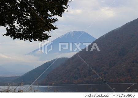 Motosu湖秋葉 Motosu湖秋葉 71750600