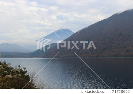 Motosu湖秋葉 Motosu湖秋葉 71750603
