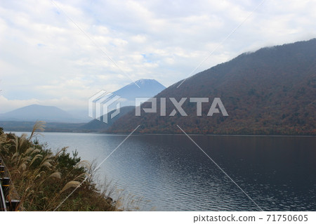 Motosu湖秋葉 Motosu湖秋葉 71750605