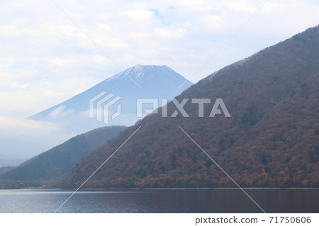 Motosu湖秋葉 Motosu湖秋葉 71750606